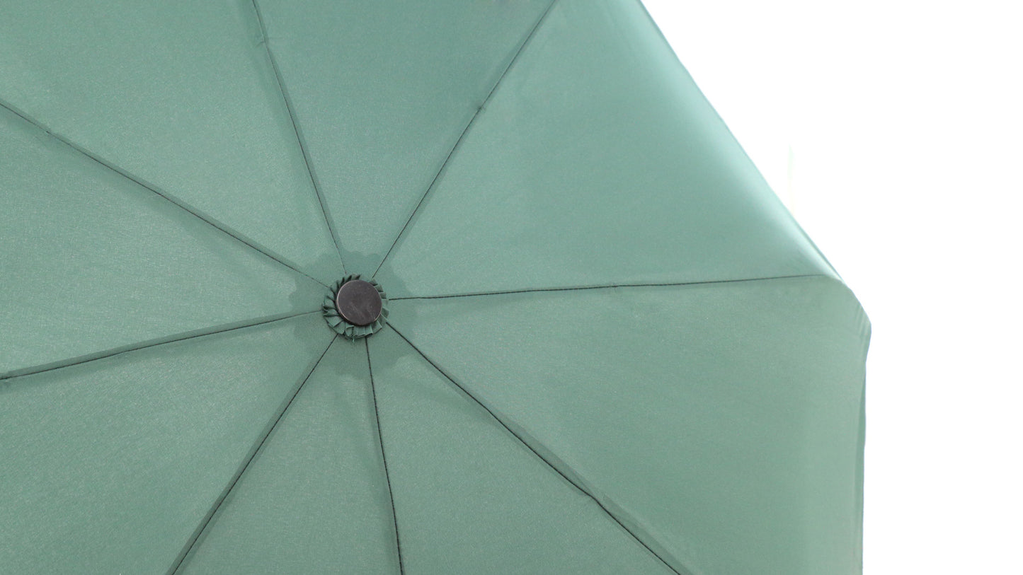 Chapéu de Chuva