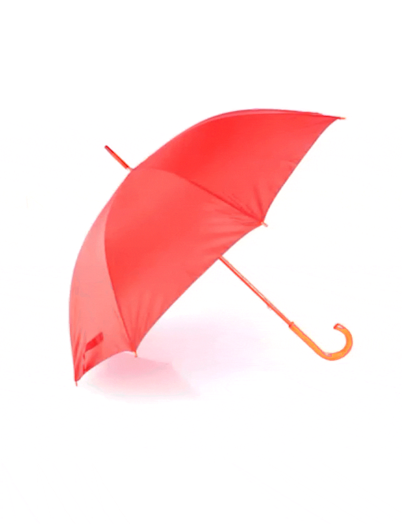 Chapéu de Chuva