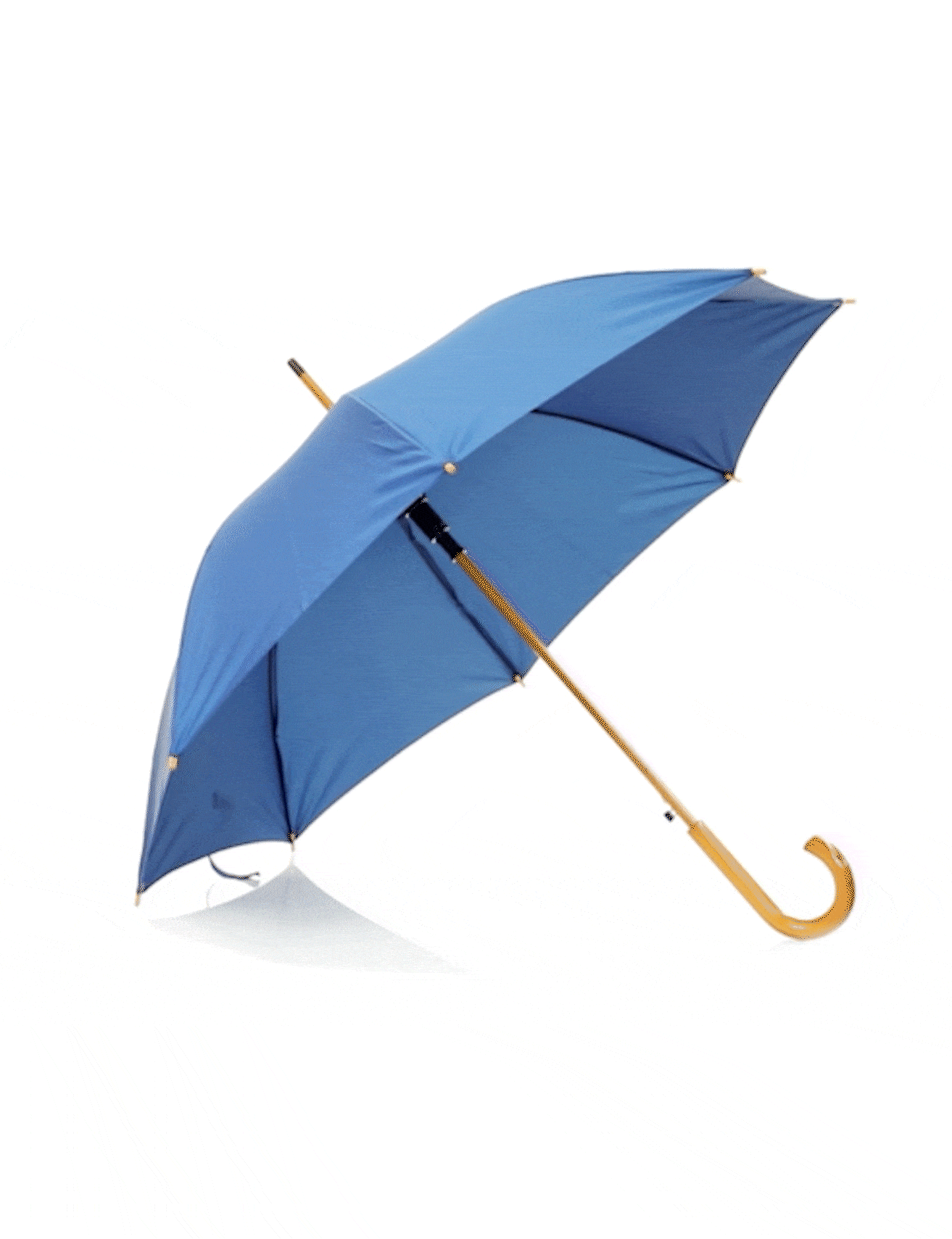 Chapéu de Chuva