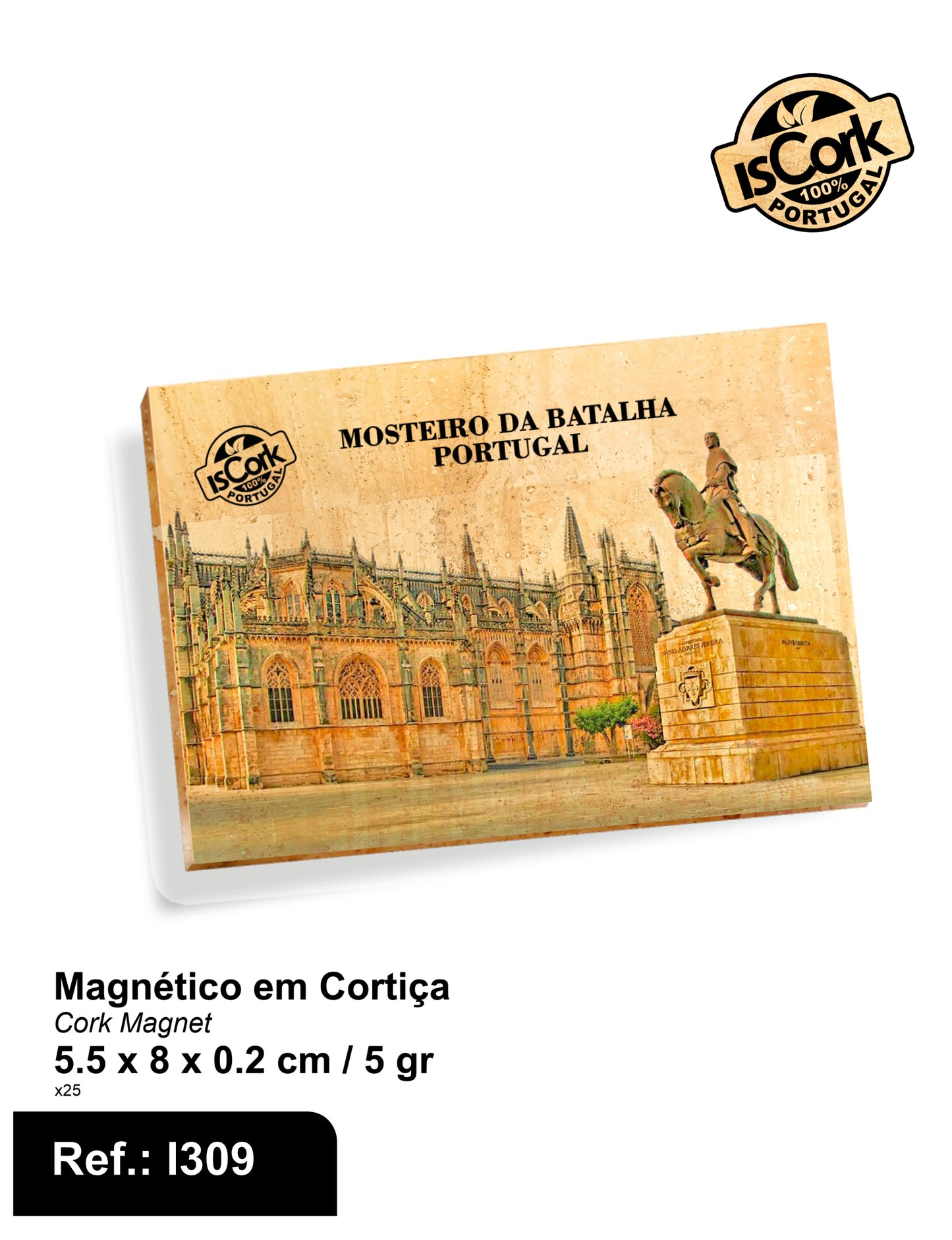 Batalha Magnético I-12