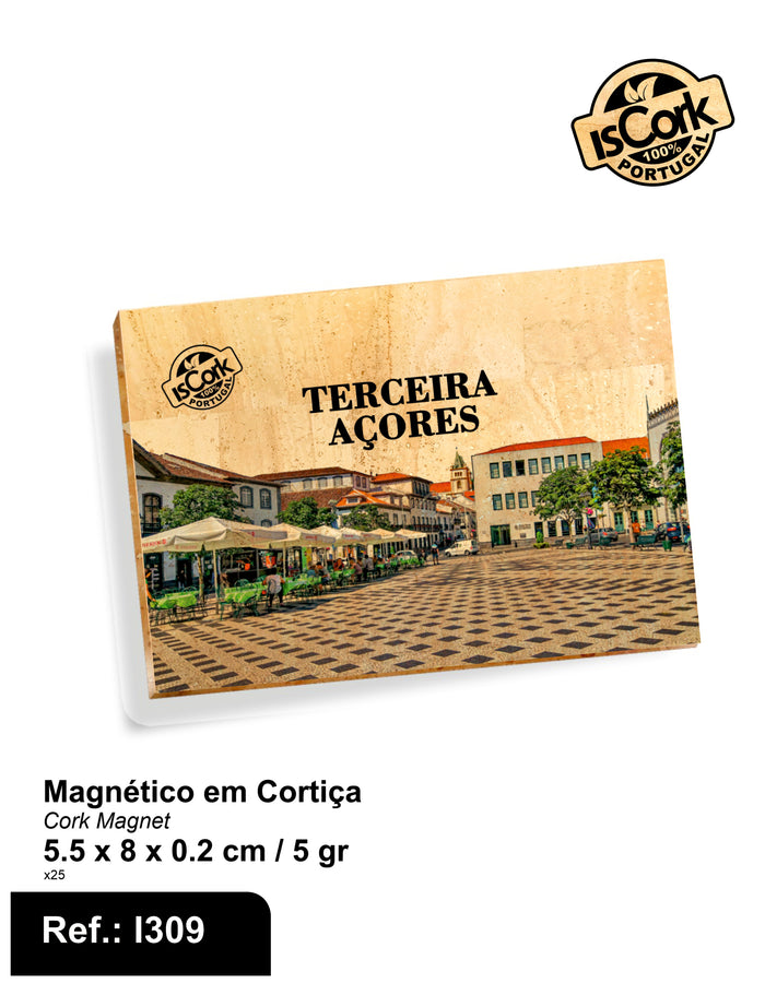 Magnéticos
