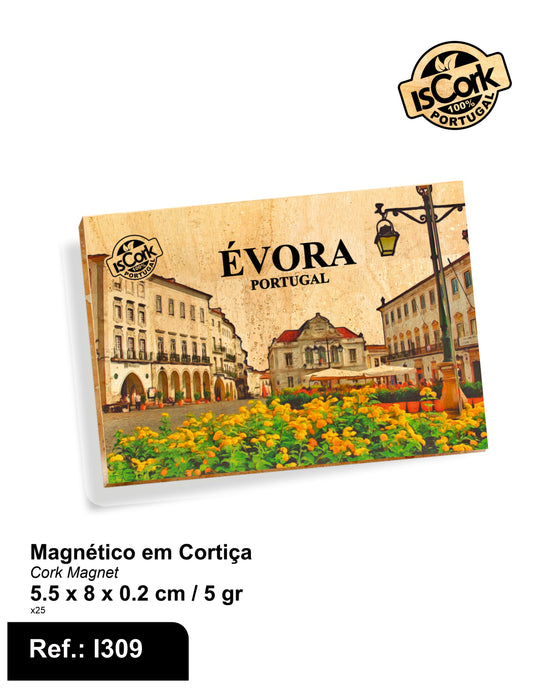 Évora Magnético I-04